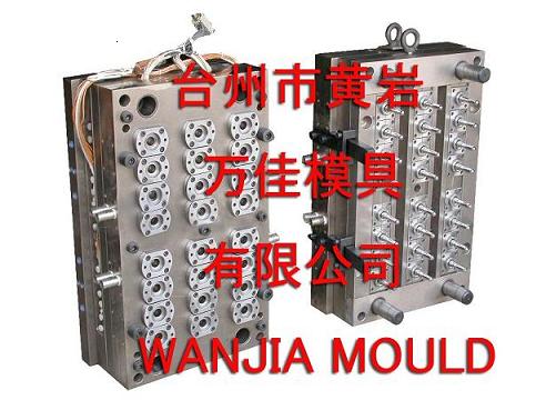 pet preform mould