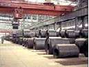 Hot-Rolled Plates with High Yield Strength for Col