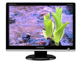 19 LCD monitor