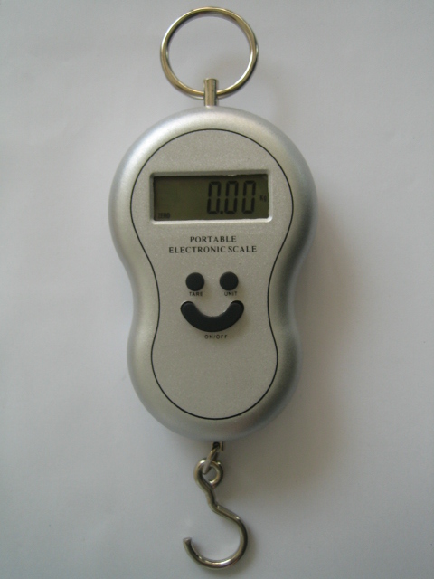 fishing scale