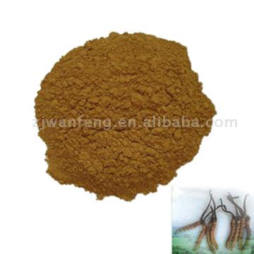 Fermentation Cordyceps  Cs-4 Powder