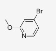 4-Bromo-2-methoxypyridine 