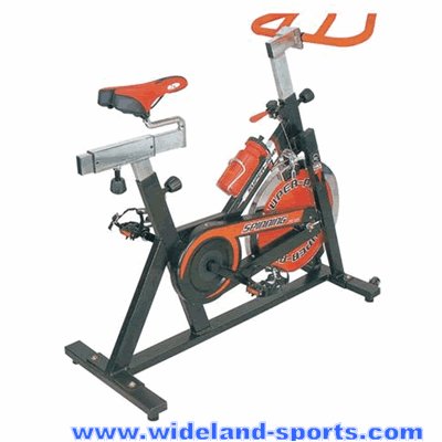 Spin bike /Elliptical bike/magnetic bike/exercise 