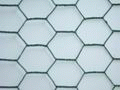 hexagonal wire mesh