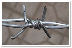 barbed wire 