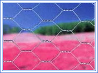 hexagonal wire netting