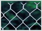 PVC/Vinyl Coated Chain Link Fencing For Sale