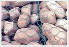 Gabion Boxes,Rock Netting For Sale