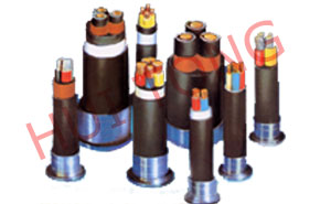 PVC/XLPE Insulated Power Cable