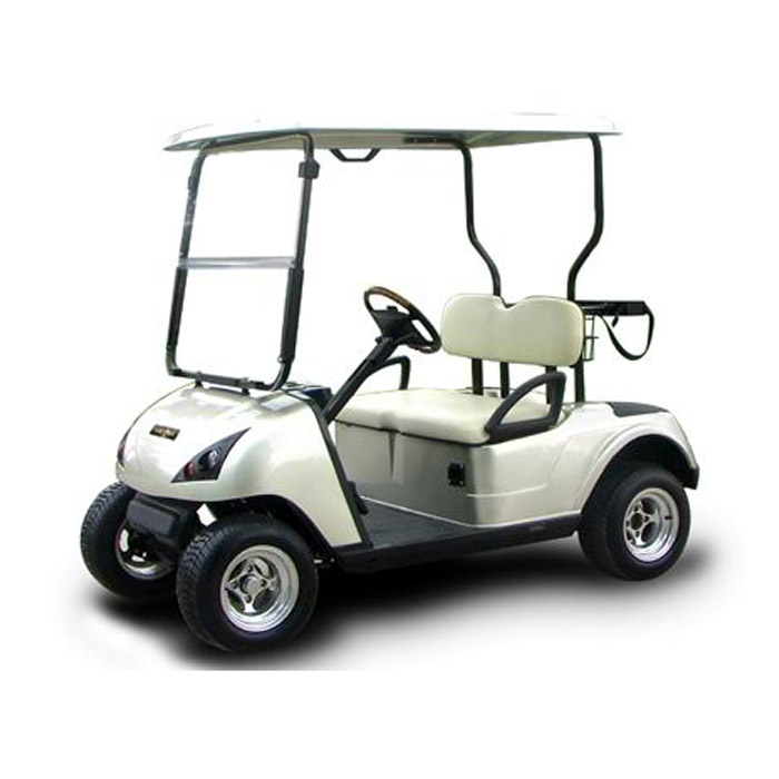 2 seater golf cart 