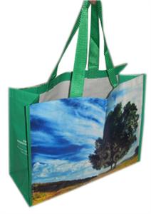 Plastic woven shopping bag 