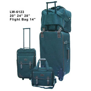 luggage,travel bag