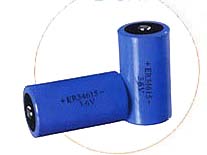 ER34615 size D 19000mAh Li/SOCl2 batteries