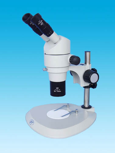 Parallel Beam Paths Zoom Stereo Microscope