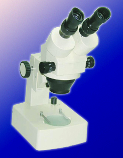 Stereo Microscope