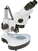 Stereo Zoom Microscope