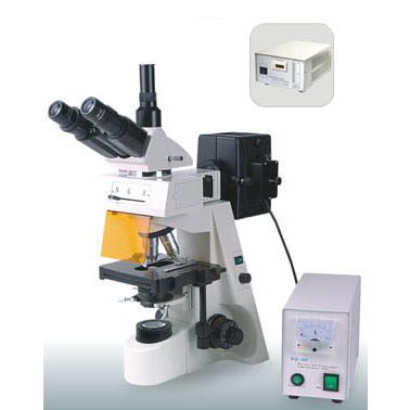 EPI-Fluorescent Microscope