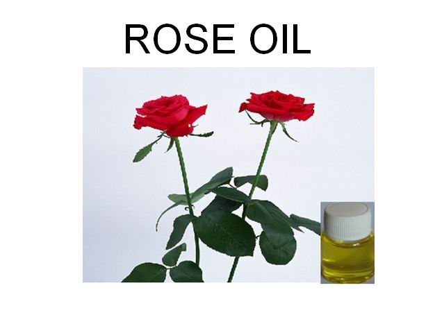 Rose Oil 