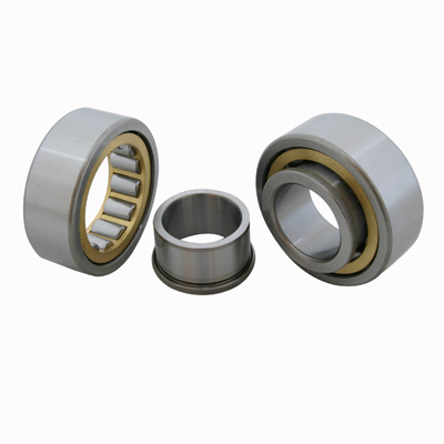 Full Complement Cylindrical Roller Bearing