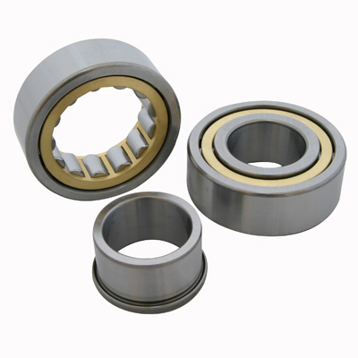 ECP Cylindrical Roller Bearing