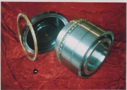 SWP Combined Bearing 