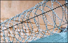 Razor Barbed Wire Mesh