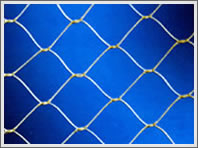 Chain Link Fence