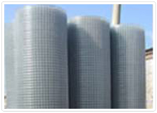 Welded wire mesh 