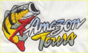 embroidery sample