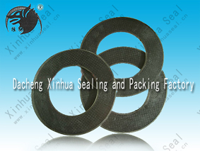 Compound Graphite Gasket