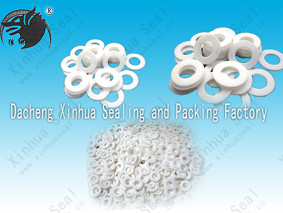 ptfe gasket