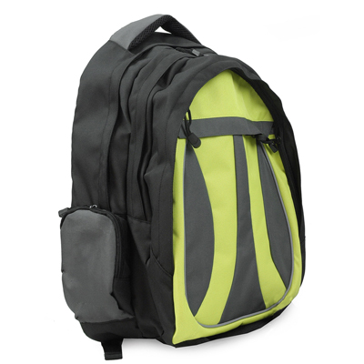 Backpack Computer Bag