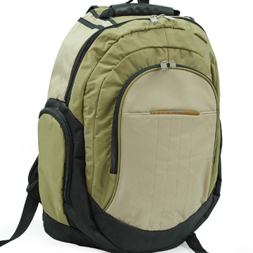 Lightweight Backpack and Computer Bag