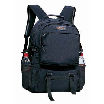 Case Logic Computer Backpack