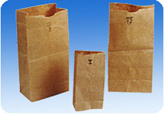 Paper Bag 