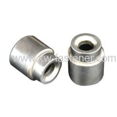 Customized Special Fastener