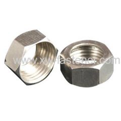 Stainless Steel Hex Nut