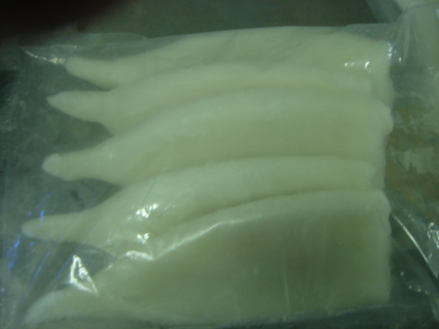 frozen squid tubes