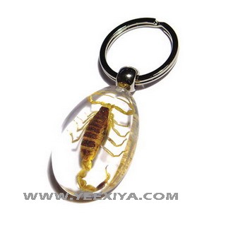 Scorpion Acrylic Key chain - www.yeexiya.