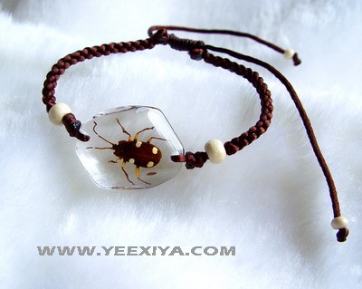 Insect Acrylic Bracelet-www.yeexiya.com 