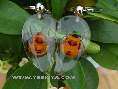 Insect Amber Key Ring www.yeexiya.com 