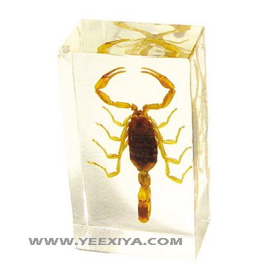 Acrylic PaperWeight -www.yeexiya.com