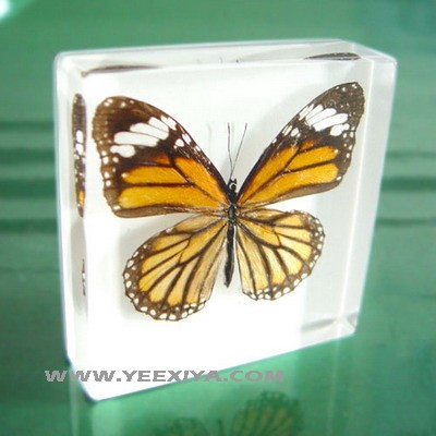 Acrylic Desk Decoration  -www.yeexiya.com 