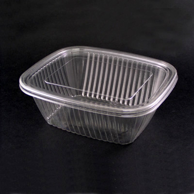 Plastic Food Container (Fruit and salad box)