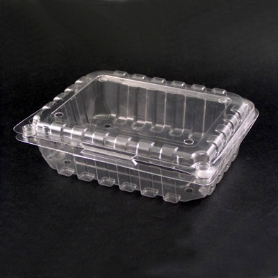 Plastic Food Container (Fruit Box)