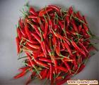 capsaicin  (sales25 at lgberry dot com dot cn)