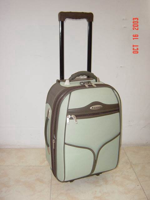 EVA Trolley Case