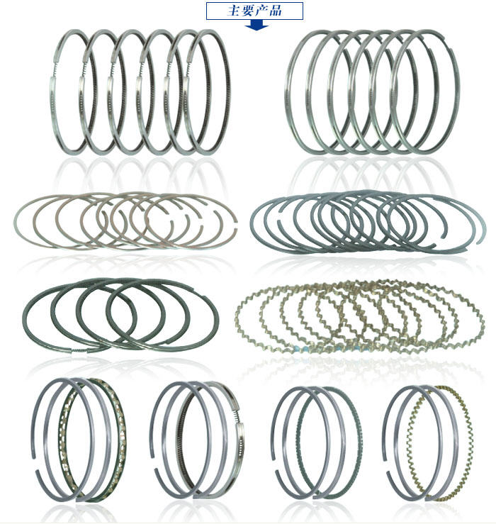 Piston Ring