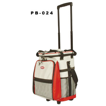 Travel cooler bag