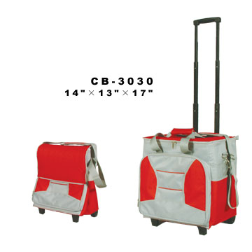 Rolling cooler luggage